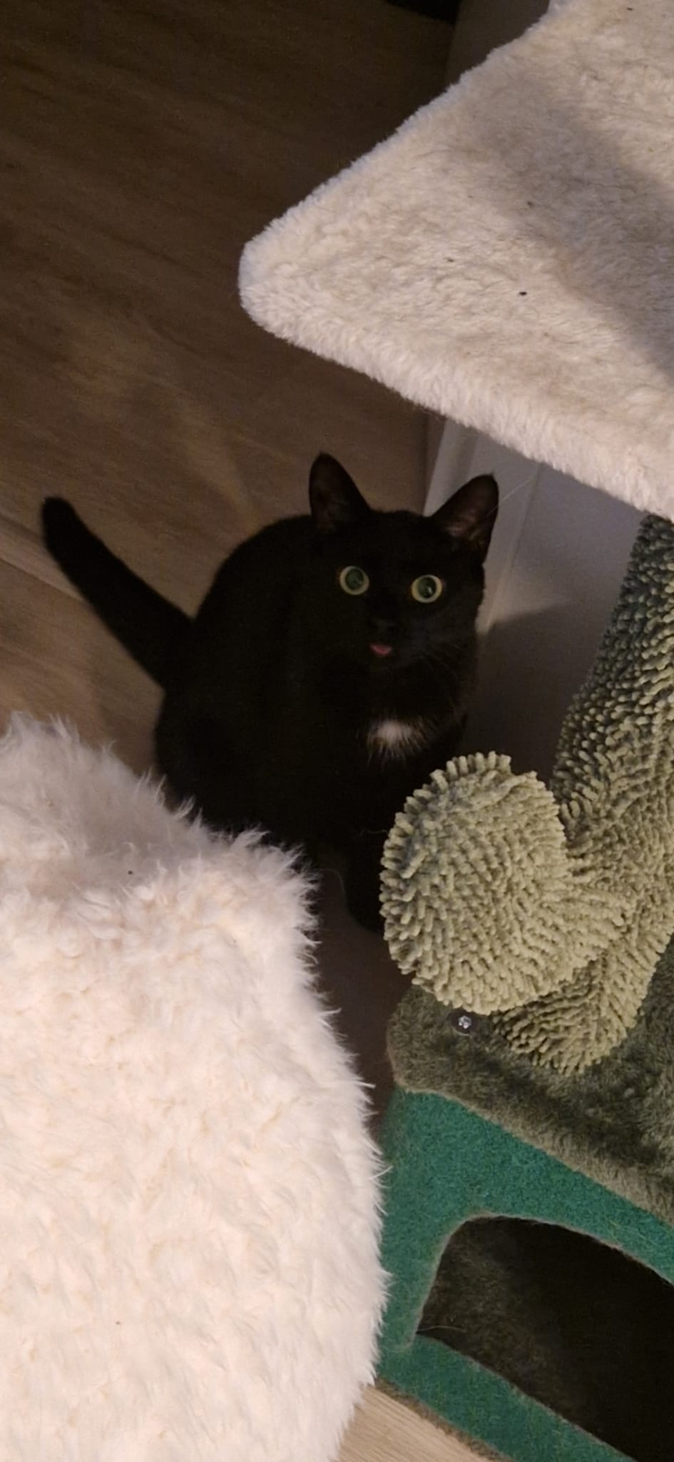 We launched our website :)